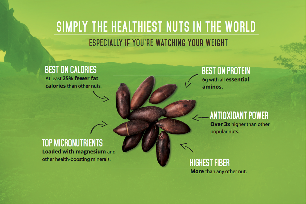 The Nut You Should be Eating Right Now (But have never heard of)